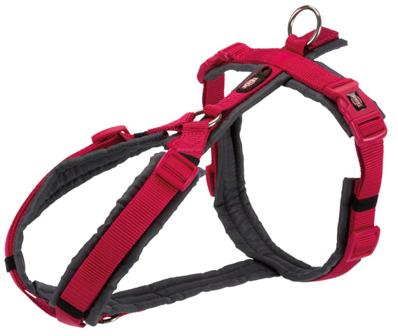 Premium spårsele,S: 36-44 cm/15 mm, fuchsia/grafit