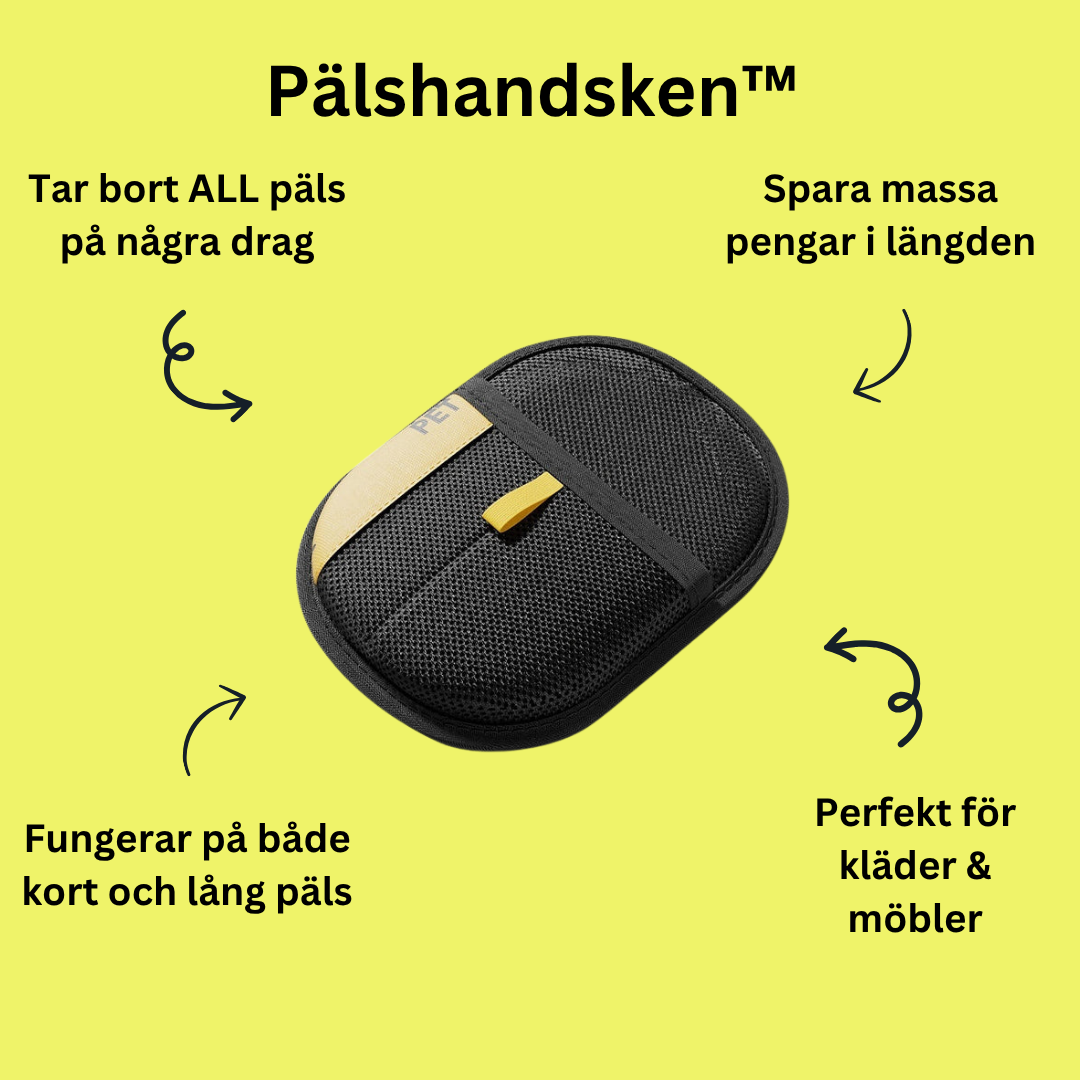 Pälshandsken™ - Få ett hårfritt hem