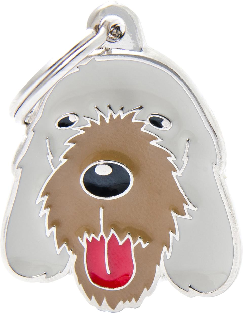 Tegn, Italiensk Spinone